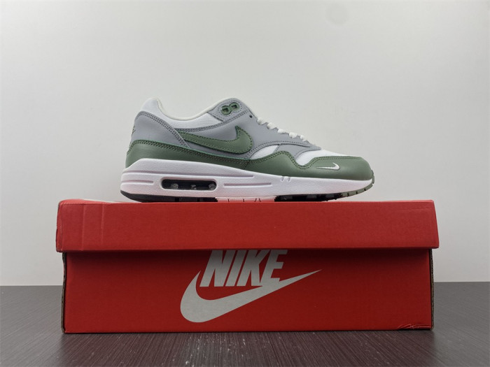 Nike Air Max 1 Spiral Sage - DB5074-100