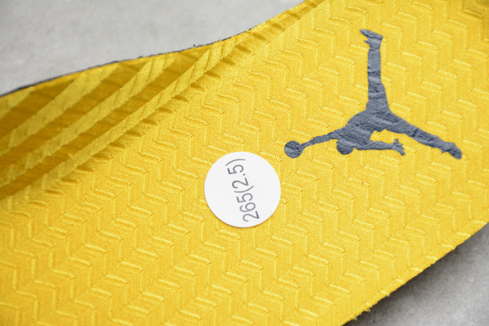 Air Jordan 5 SP “Michigan” (Inspire) CQ9541-704