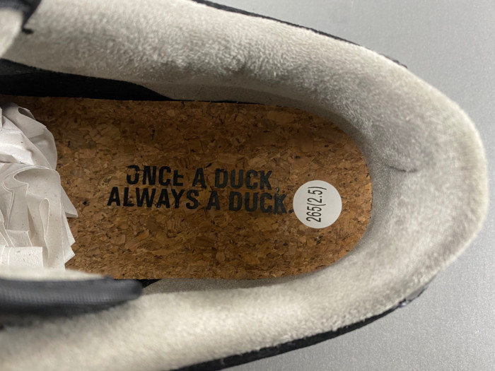 Division Street x Nike Dunk Low Oregon Black HV1470-001