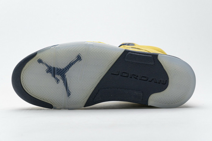 Air Jordan 5 Retro T23 