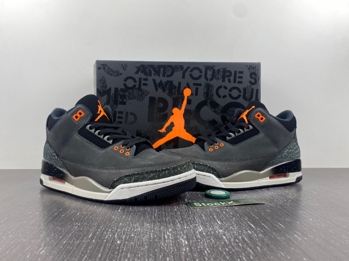 Air Jordan 3 "Fear" CT8532-080