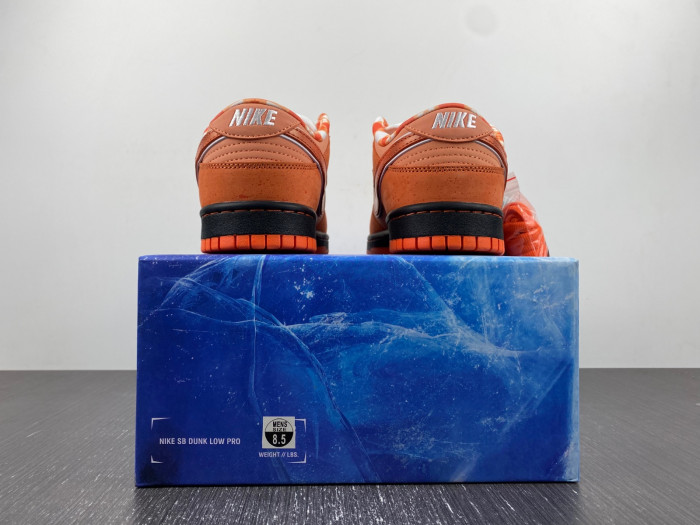 Concepts x Nike SB Dunk Low “Orange FD8776-800