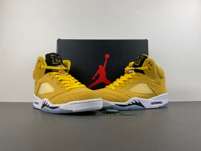 Air Jordan Air Jordan 5 Retro
