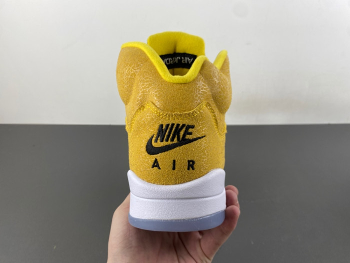 Air Jordan Air Jordan 5 Retro
