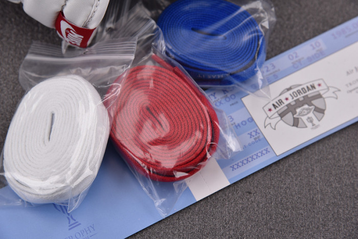 Trophy Room x Air Jordan 1 Low OG FN0432-017