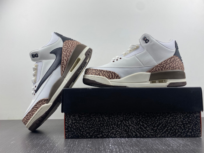 AIR JORDAN 3 RETRO "Palomino" 136064-168