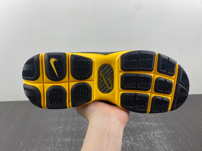 NIKE ZOOM KOBE 2 CARPE DIEM MEN