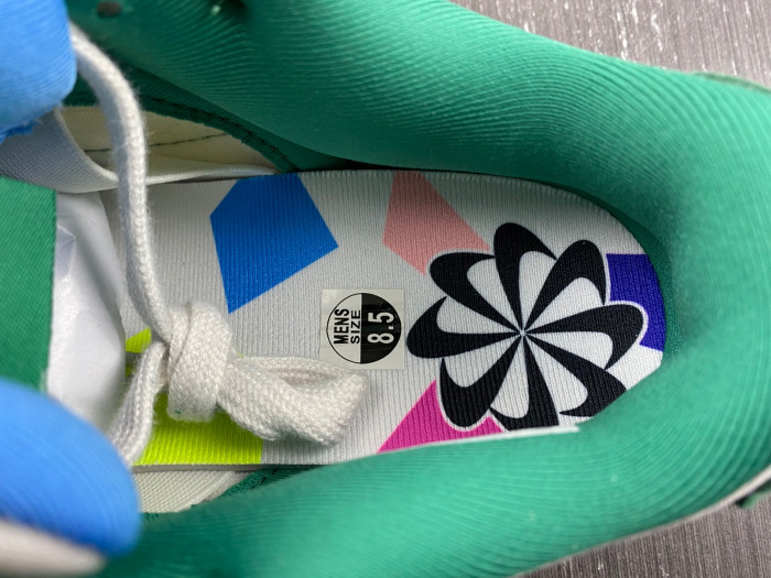 nike Dunk Low Disrupt 2 